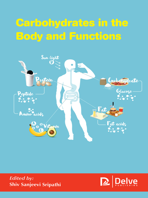 Cover image for Carbohydrates in the body and functions